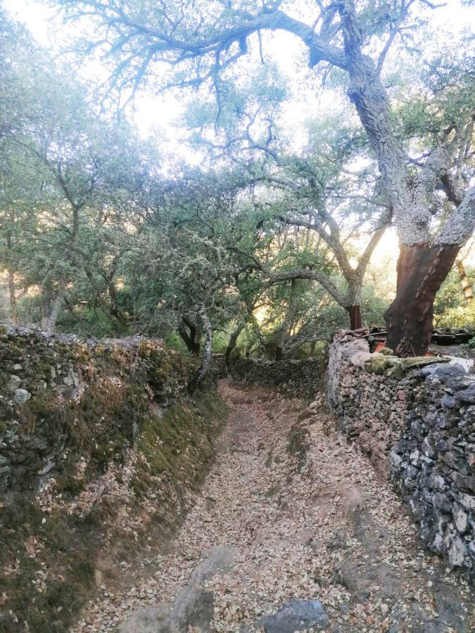Casa Rural El Olivo อาราเซนา ภายนอก รูปภาพ