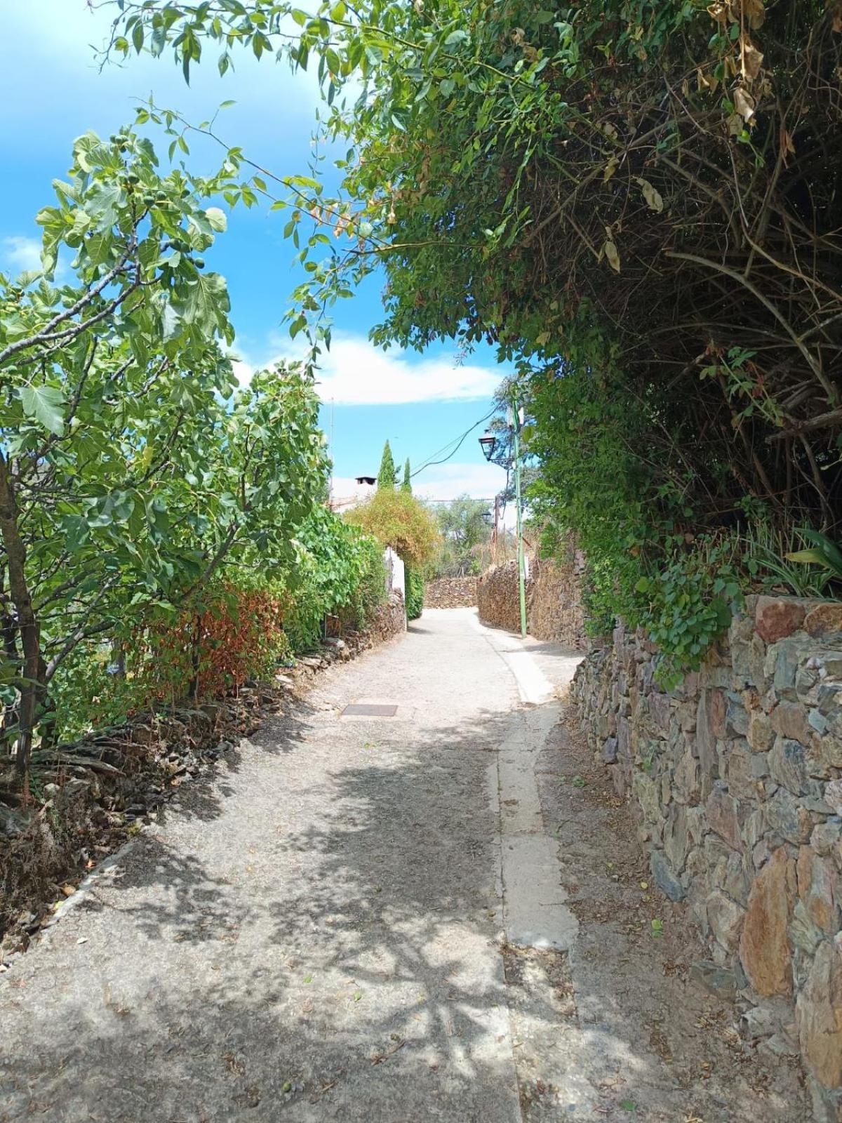 Casa Rural El Olivo อาราเซนา ภายนอก รูปภาพ