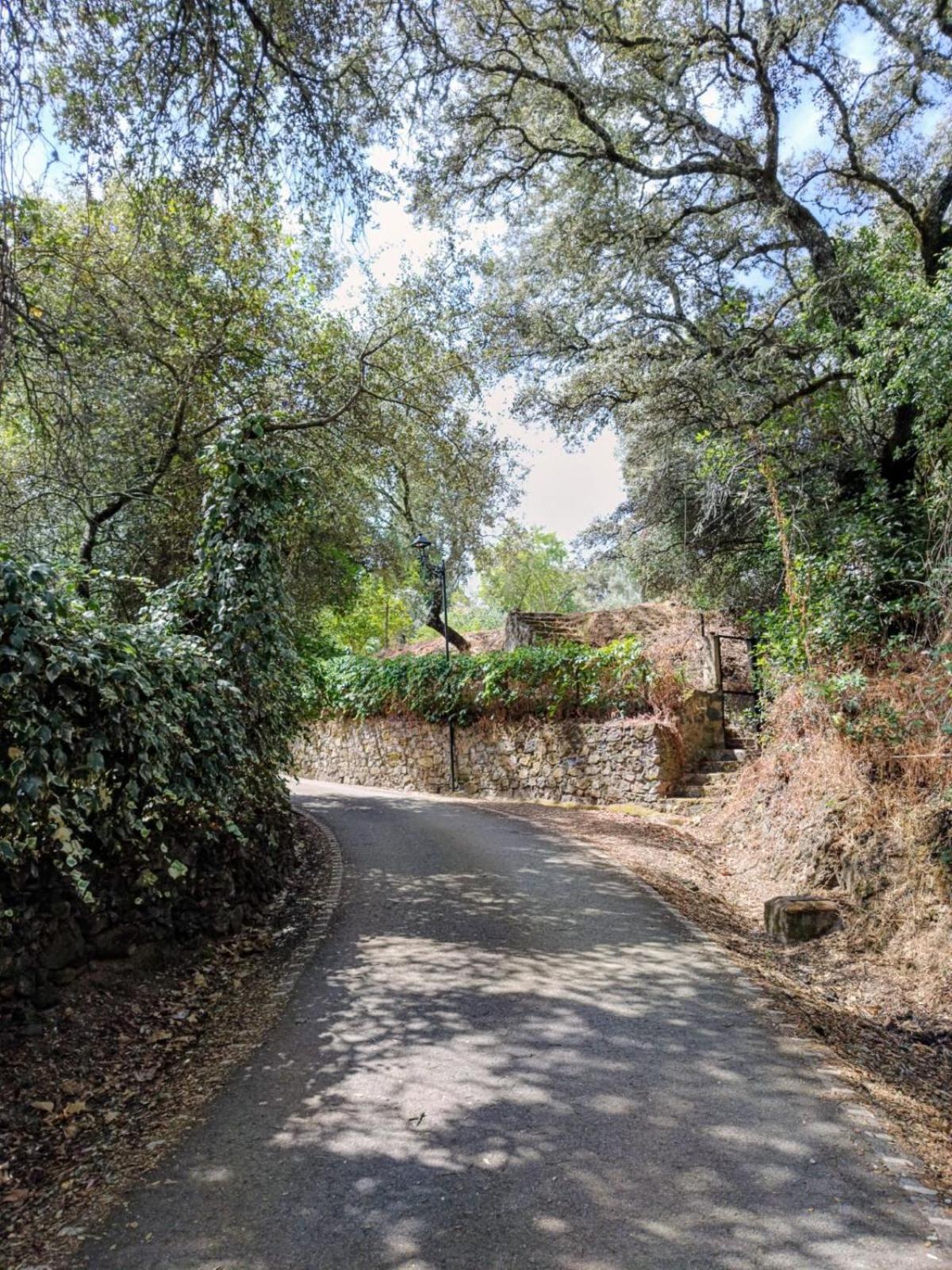 Casa Rural El Olivo อาราเซนา ภายนอก รูปภาพ