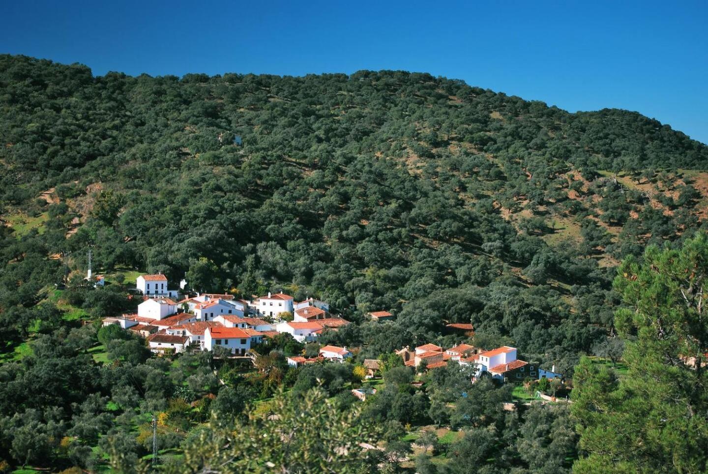 Casa Rural El Olivo อาราเซนา ภายนอก รูปภาพ